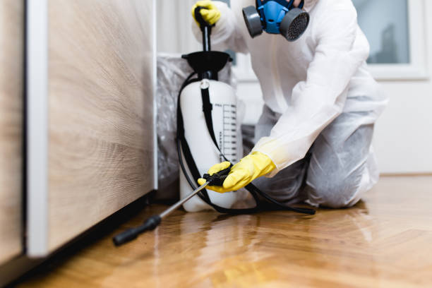 Best Wasp Removal Services  in Estancia, NM
