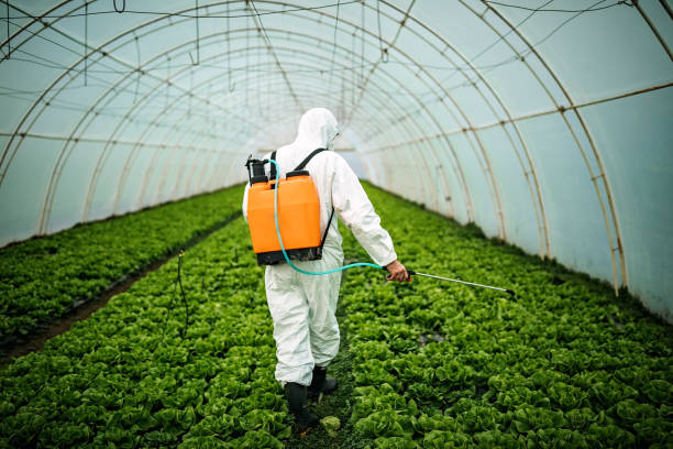 Best Ant Control Services  in Estancia, NM