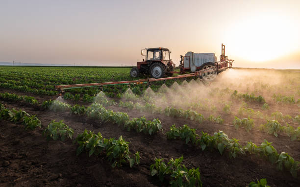 Pest Prevention Services in Estancia, NM