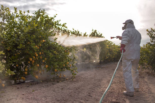 Best Mosquito Control Services  in Estancia, NM