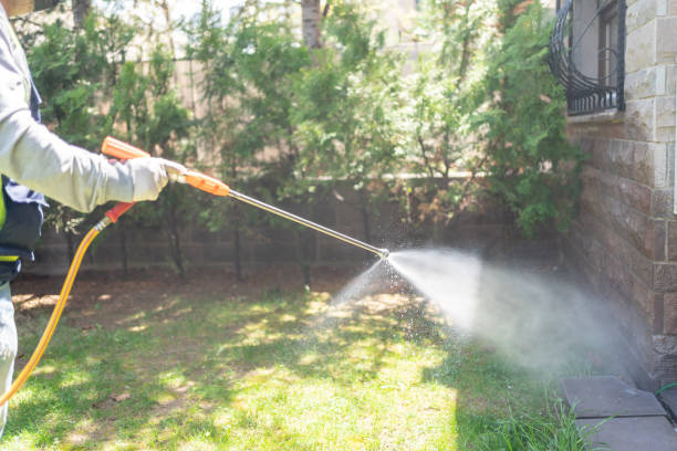 Best Bed Bug Extermination  in Estancia, NM